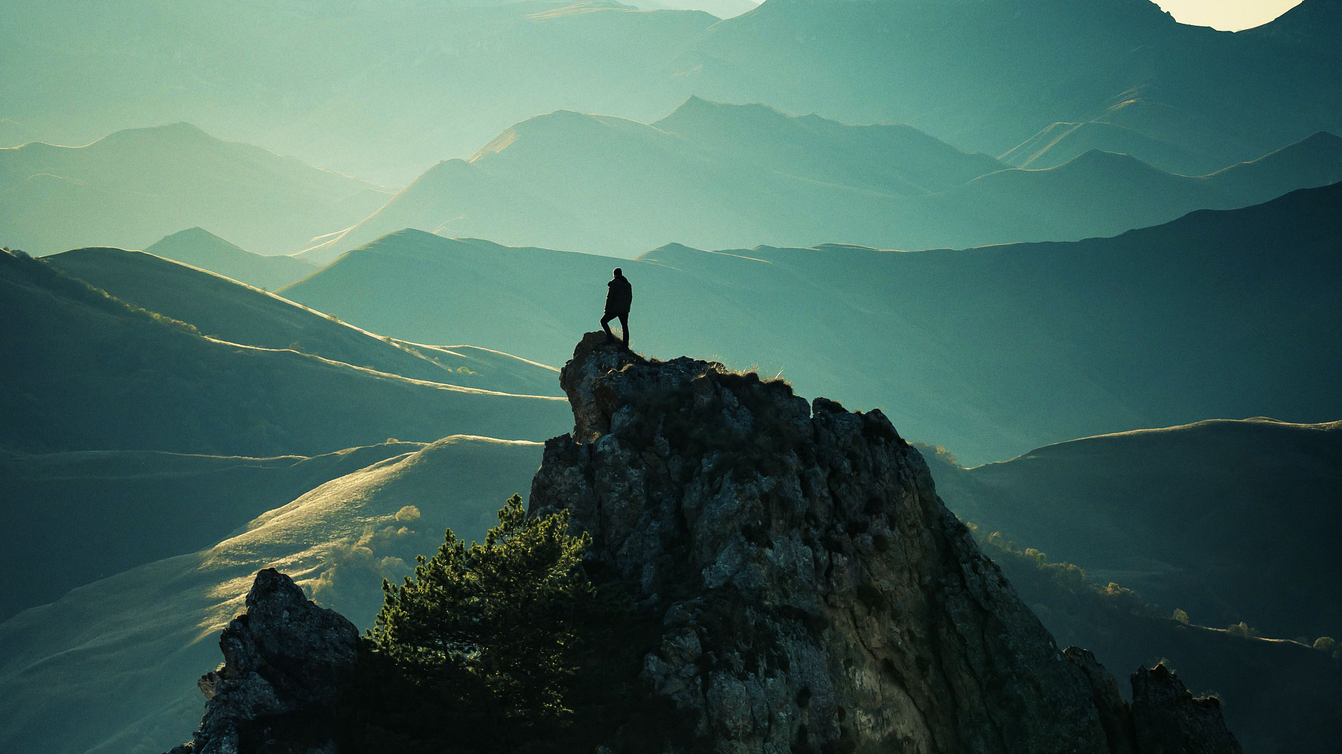 ����Э������